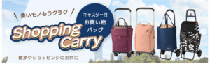 スーツケース・旅雑貨-ビジネスバッグ通販-ト45764