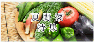 九州屋plus--05-07-2025_03_01_AM