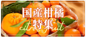 九州屋plus--05-07-2025_03_02_AM